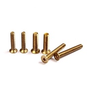 linanjun1 40Pcs M2x (4/5/6/8/10/12mm long) brass screw cross head screw copper bolt of high quality