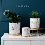 •DND•Nordic Style Marble Gold Orchid Caladium Plant Succulent Ceramic Pot ｜Pasu Seramik Bunga Orkid Daun Keladi｜金大理石陶瓷花盆