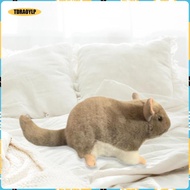[tdraoylp] Plush Toys 14.17'' Animal Chinchilla Baby