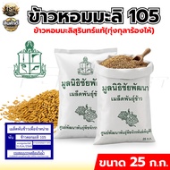 เมล็ดพันธุ์ข้าว ตรา กรมการข้าว พันธุ์ข้าวหอมมะลิ พันธุ์ข้าว กข.15 105 ข้าวปลูก ข้าว บรรจุ 25 กก. พร้
