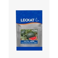 Benih Tembikai Boci Tanpa Biji Super Star 1096 *Repack 20pcs ~ 110pcs* / Triploid Seedless Watermelo