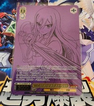 WS 魔導少年 SSP