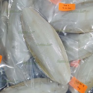 Tulang Sotong / Cuttlefish Bone / Cuttlebone / 墨鱼骨  - Bird Feed | Tortoise Feed | Reptile Feed (Calc