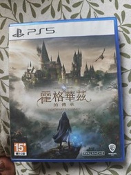 Hogwarts Legacy PS5 Game