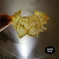 Dried Fish Maw 鱼漂 (Red Coral Grouper)