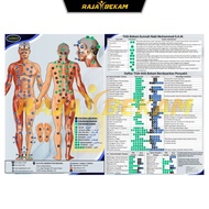 Poster Panduan Bekam / Poster 9in1 / Peta Titik Bekam A3 / Poster Akpuntur / Poster Fashdu / Poster 