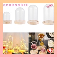 SUCHENBRI Glass cloche Fair Lights Plants Terrarium Pitcher Transparent Flower Storage Box In Bottle