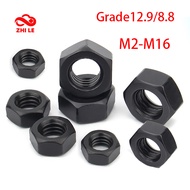 Grade12.9 Grade8.8 Black Hexagon Nut Set M2 M2.5 M3 M4 M5 M6 M8 M10 M12 M14 M16 Hex Bolt Nuts High C