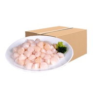 ARO FZเนื้อหอยเชลล์ 40-60 ต/ป X10