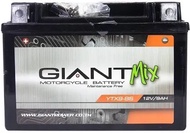 Battery บิกไบค์ แบตเตอรี่ Giant ytx9 bs superbike bigbike ⭐️⭐️⭐️⭐️⭐️หลายรุ่น Z900 800 cb400 steed ninja kawasaki suzuki แบตแห้ง คุณภาพสูง