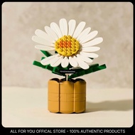 [OXFORD X PEACEMINUSONE] 818 BLOOM