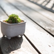 水泥器皿 / 浴缸