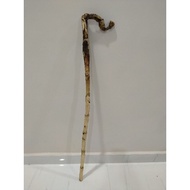 Rotan Songsang Hasil Hutan