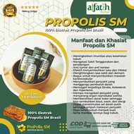 Propolis SM Brazilian 100% Original Nano Technology BPOM And Halal MUI Certified