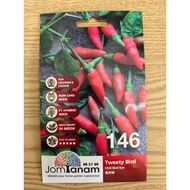 Tweety Bird ( chili bird eye ) - 50 biji / benih