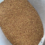 Alfalfa Seeds Beef Sheep Loves to Eat Alfalfa Seeds Grass Seeds Dry Winter Survival Green Fertilizer