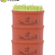 Gengyunshe Purple Sand Seedlings Vegetable Pot Sprout Seedling Pot Hair Seedling Vegetable Seedling 