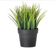 804.339.43 AKJEF Artificial potted plant, in/outdoor grass, 9cm