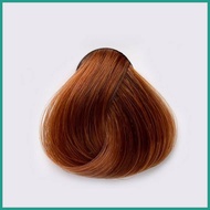 ♈  ✘ bremod hair color 8.43 Light Copper Blonde Hair dye