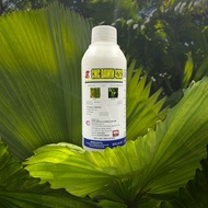 CMC DAWIN 42SC RACUN KULAT 1LITER / FUNGCIDE A.I CARBENDAZIM 42% RACUN KARAH ,DOWNY , ANTRAKNOS DAN 