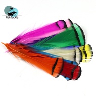 Fly Fishing Tying Material, 10pcs Colorful Lady Amherst Feather Tippet For Wet Fly Streamers Nymph W