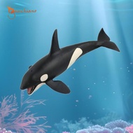 gamchiano Realistic Whale Figures Model Simulation Educational Toy Simulate Marine Animal Model Sea 