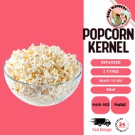 Pop Corn Biji /Biji Jagung/Jagung Kernel/Popcorn Mushroom 蘑菇形/Popcorn Butterfly 蝴蝶形 (爆米花/玉米粒/粟米) (250g/500g/1kg)