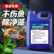 Fish Tank Algae Remover Fish Pond Aquarium Algae Remover Green Algae Removal Magic Tool Green Water 