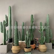 Fake Plant Cactus Potted Plant Simulation Cactus Pillar Green Plant Bonsai Nordic Indoor Large Decor
