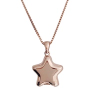 Polly Star Photo Picture Locket Necklace in Gold, Rose Gold, and Jewelry | Minimalist, Delicate Jewe