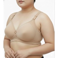 Sweet underwearshop Plus size plain thin pads bra no wire sizes 40,42,44,46 cap B&C