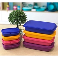 Tupperware Foodie Buddy 560ml/Lunch Box/Food Supplies