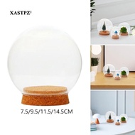 [Xastpz1] with Base Valentine's Day Decoration Glass Cloche Ball Jar Dome