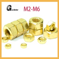 M2 M2.5 M3 M4 M5 M6 Hexagon Nut Titanium Gold Plated Hexagon Nut Metric Bolt Nut