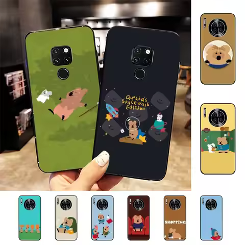 Korea D-Dinotaengs For Huawei Mate 10 20 30 40 50 lite pro Nova 3 3i 5 6 SE 7 pro 7SE