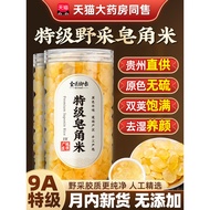 [Double Pod Large Grain] Premium Saponin Rice Natural Wild No Impurities Snow Swallow Peach Gum Genu