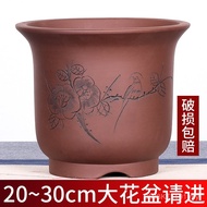 #紫砂陶瓷花盆兰花盆兰花兰花盆大口径宜兴紫砂花盆君子陶土 Z0QB