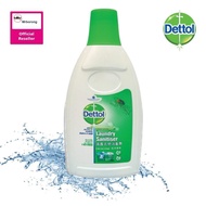 Dettol Laundry Sanitizer Pine 750ml (READY STOCK)