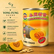 (20g / 50g / 200g) Yong Fung Seeds 868 Pumpkin / Labu Emas / 金瓜