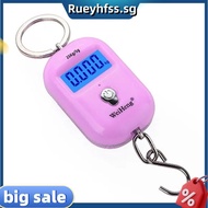 Digital Luggage Scale with Hook, 25kg Capacity, 5g Accuracy, Portable and Backlit