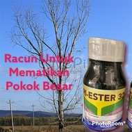 250ml / Tri-Ester @ Kellon / Racun Membunuh Pokok-Pokok Besar / Racun Menbunuh Tanaman Berbatang Ker