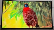 Samsung 55吋 55inch NU7300 曲面 4K Smart tv 智能 電視