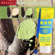 IBESUDES Tree Wound Sealant, Tree Repair Smear Agent Grafting Tree Sealer,  with Brush 100g Plant Re
