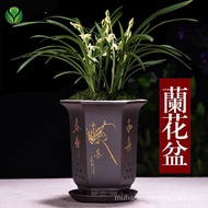 🐾Yixing Purple Sand Flowerpot Simple and Breathable Orchid Pots Clivia Asparagus Fern Flowerpot Indoor Succulent Plant P