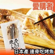 【多款可選】日本製 連骨吃烤魚 魚乾 防災 儲備糧食 常溫食用 煙燻魚 竹莢魚 比目魚 沙丁魚 紅鯛魚 青花魚【愛購者】