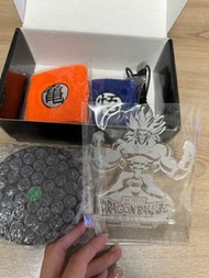 龍珠立牌LED燈