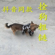 Iron Chain Big Gold Chain Dog Dog Chain Dog Leash Dog Leash Funny Out Plastic Bold Chain