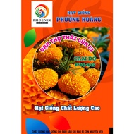 Dwarf Thai Marigold Flower PH46 Red Orange Seeds - Phoenix