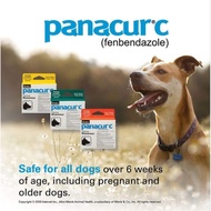 (SG) Panacur C Canine Dewormer 3x1g (Fenbendazole) - Expiry 06/27