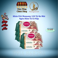 (Combo 5 Gói) Khăn Ướt Mamamy 120 Tờ KO MÙI Chống Hăm Tả Có Nắp (Bibistore HCM)